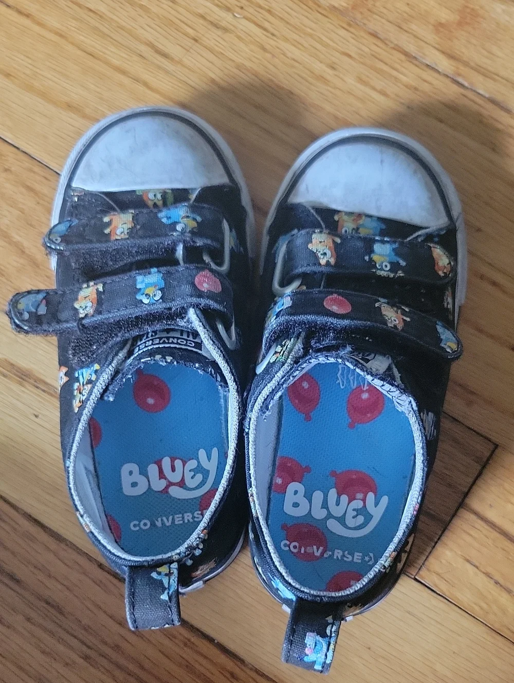 Converse bluey sneakers